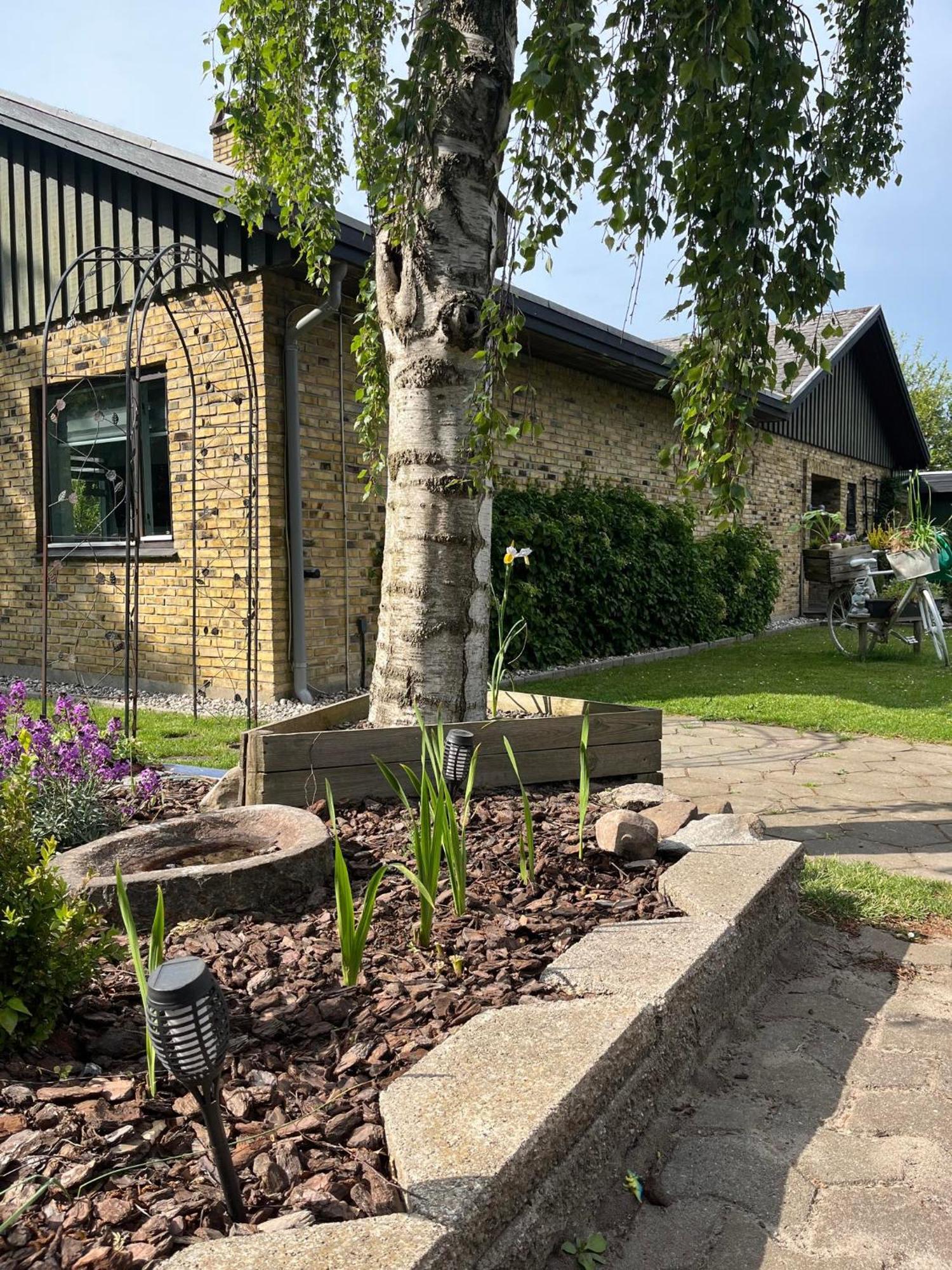 The Dream Villa Rodby Exterior foto