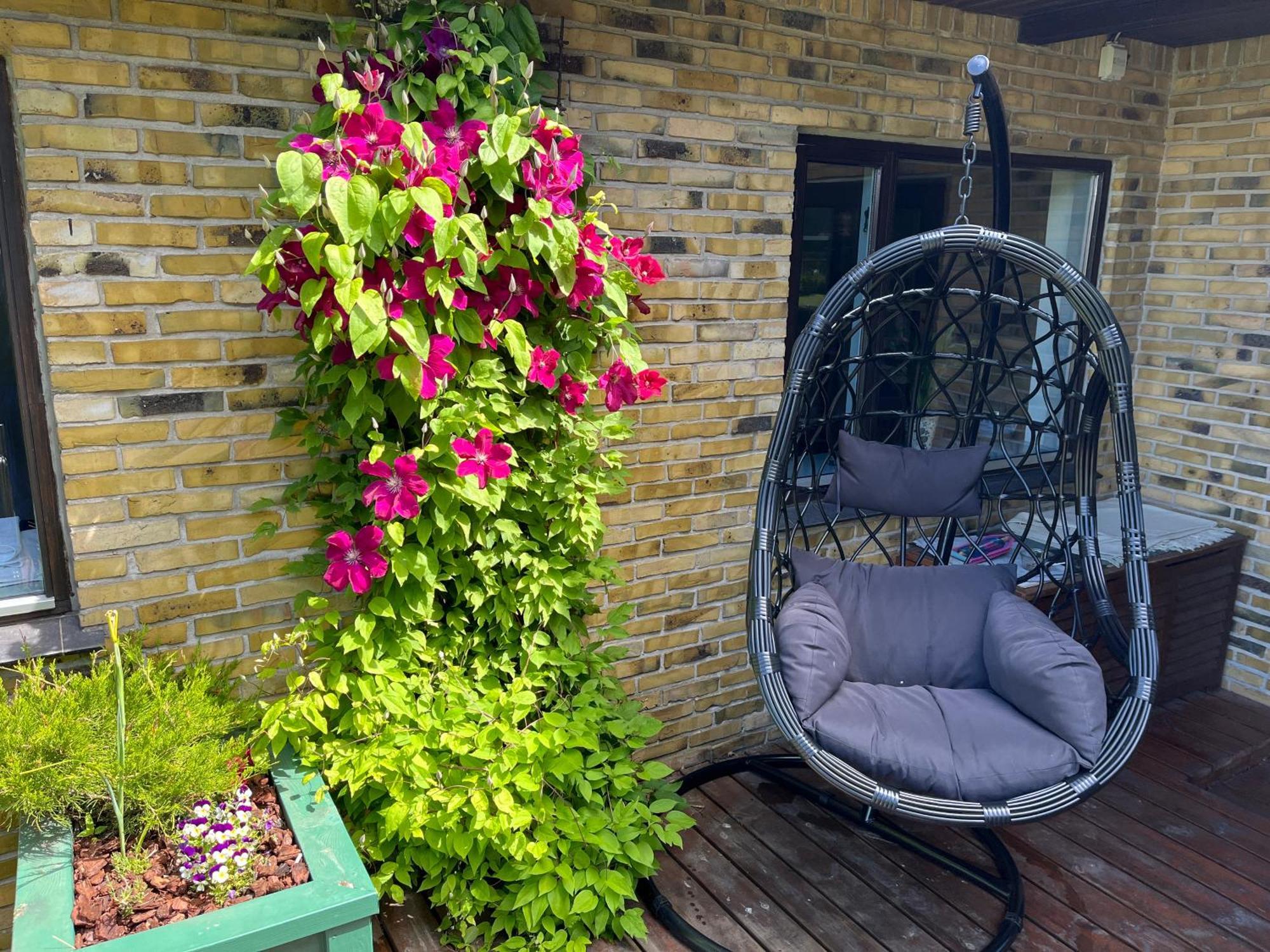 The Dream Villa Rodby Exterior foto